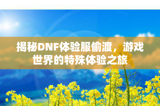 揭秘DNF体验服偷渡,游戏世界的特殊体验之旅 揭秘DNF体验服偷渡,游戏世界的特殊体验之旅