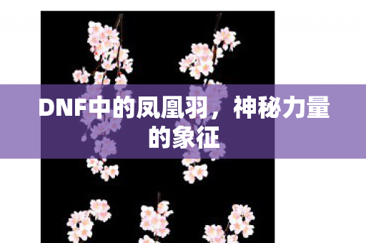 DNF中的凤凰羽,神秘力量的象征 DNF中的凤凰羽,神秘力量的象征