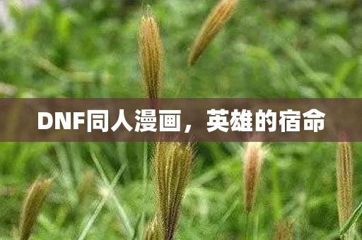 DNF同人漫画,英雄的宿命 DNF同人漫画,英雄的宿命