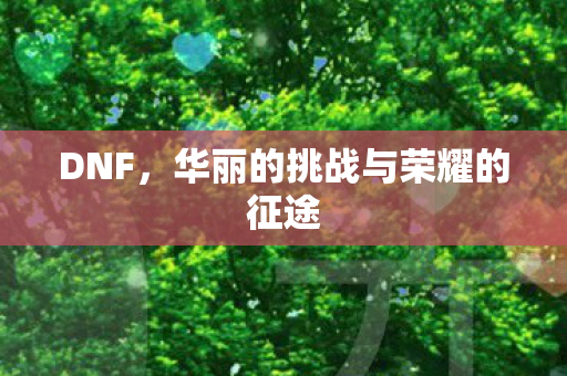 DNF,华丽的挑战与荣耀的征途 DNF,华丽的挑战与荣耀的征途