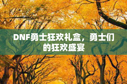DNF勇士狂欢礼盒,勇士们的狂欢盛宴 DNF勇士狂欢礼盒,勇士们的狂欢盛宴