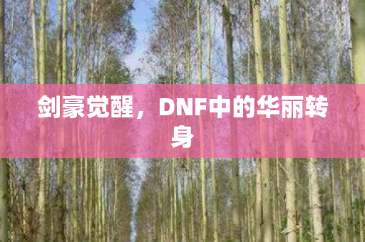剑豪觉醒，DNF中的华丽转身