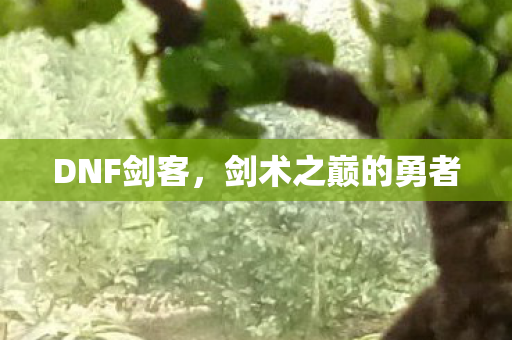 DNF剑客,剑术之巅的勇者 DNF剑客,剑术之巅的勇者