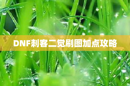 DNF刺客二觉刷图加点攻略 DNF刺客二觉刷图加点攻略