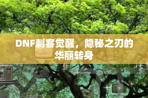 DNF刺客觉醒,隐秘之刃的华丽转身 DNF刺客觉醒,隐秘之刃的华丽转身