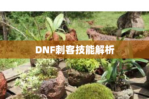 DNF刺客技能解析