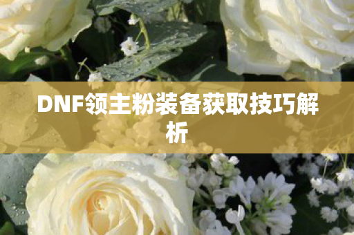 DNF领主粉装备获取技巧解析 DNF领主粉装备获取技巧解析