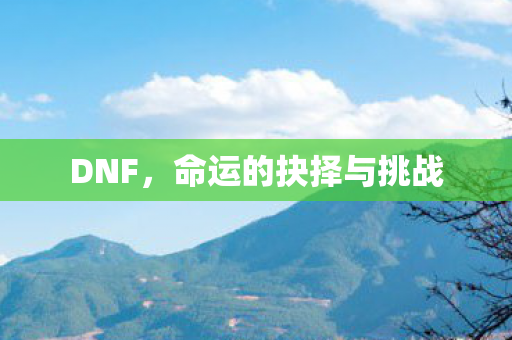 DNF,命运的抉择与挑战 DNF,命运的抉择与挑战