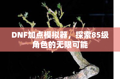 DNF加点模拟器,探索85级角色的无限可能 DNF加点模拟器,探索85级角色的无限可能