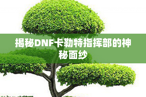 揭秘DNF卡勒特指挥部的神秘面纱 揭秘DNF卡勒特指挥部的神秘面纱
