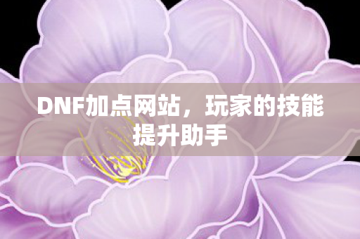 DNF加点网站，玩家的技能提升助手