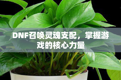 DNF召唤灵魂支配,掌握游戏的核心力量 DNF召唤灵魂支配,掌握游戏的核心力量