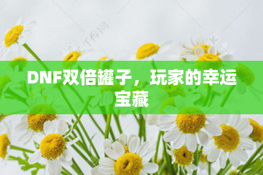DNF双倍罐子,玩家的幸运宝藏 DNF双倍罐子,玩家的幸运宝藏
