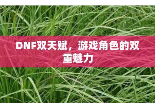DNF双天赋，游戏角色的双重魅力