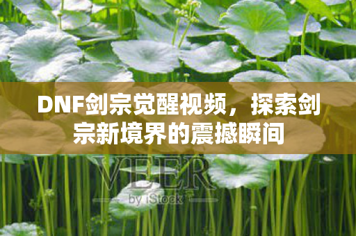 DNF剑宗觉醒视频，探索剑宗新境界的震撼瞬间