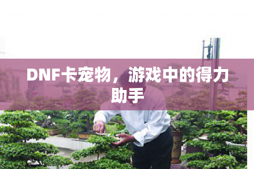 DNF卡宠物,游戏中的得力助手 DNF卡宠物,游戏中的得力助手