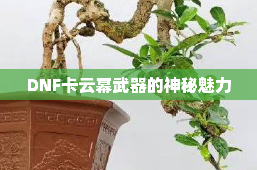 DNF卡云幂武器的神秘魅力 DNF卡云幂武器的神秘魅力