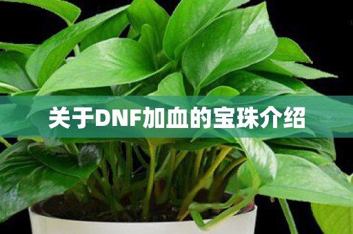 关于DNF加血的宝珠介绍 关于DNF加血的宝珠介绍
