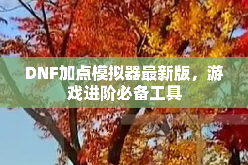 DNF加点模拟器最新版,游戏进阶必备工具 DNF加点模拟器最新版,游戏进阶必备工具