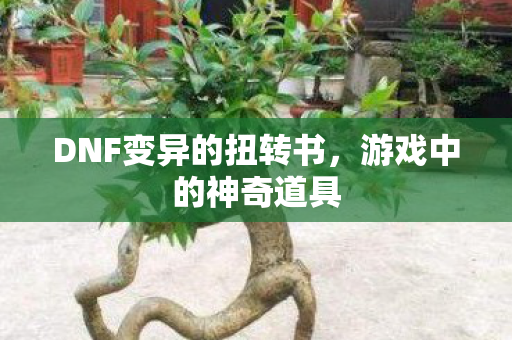 DNF变异的扭转书,游戏中的神奇道具 DNF变异的扭转书,游戏中的神奇道具