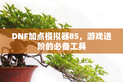 DNF加点模拟器85，游戏进阶的必备工具