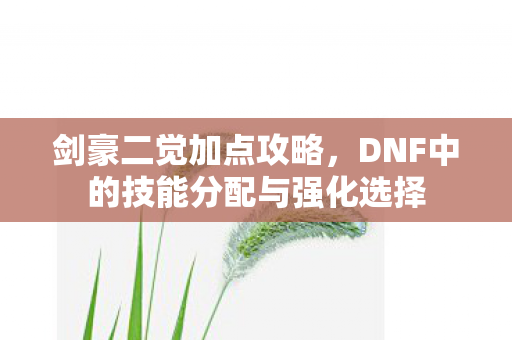 剑豪二觉加点攻略，DNF中的技能分配与强化选择
