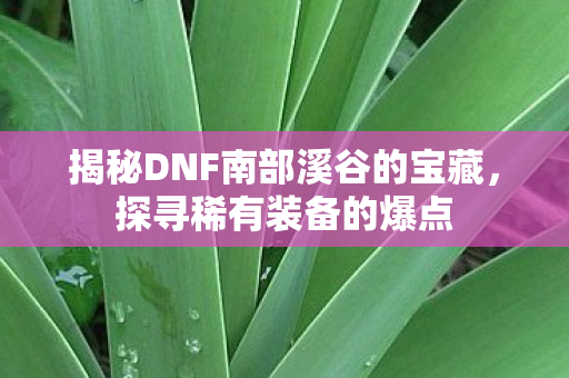 揭秘DNF南部溪谷的宝藏,探寻稀有装备的爆点 揭秘DNF南部溪谷的宝藏,探寻稀有装备的爆点