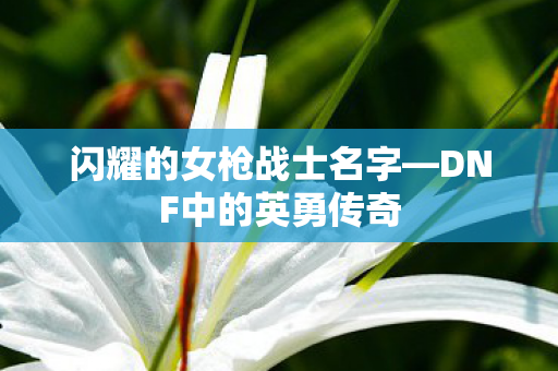 闪耀的女枪战士名字—DNF中的英勇传奇 闪耀的女枪战士名字—DNF中的英勇传奇