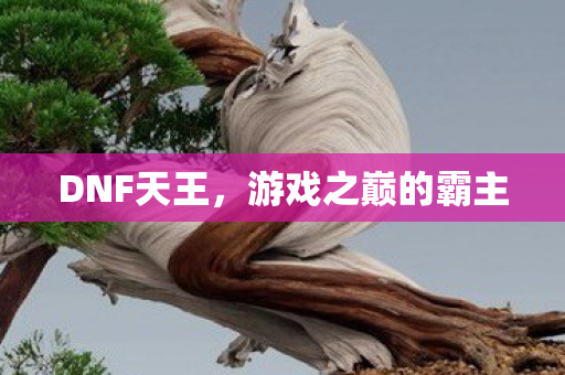 DNF天王,游戏之巅的霸主 DNF天王,游戏之巅的霸主