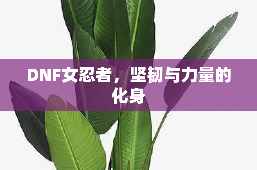 DNF女忍者，坚韧与力量的化身