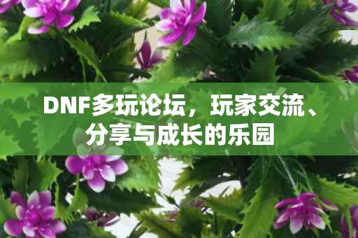 DNF多玩论坛,玩家交流、分享与成长的乐园 DNF多玩论坛,玩家交流、分享与成长的乐园