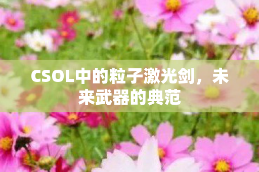 CSOL中的粒子激光剑,未来武器的典范 CSOL中的粒子激光剑,未来武器的典范