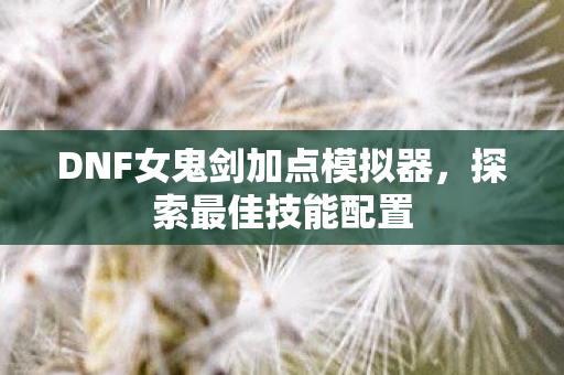 DNF女鬼剑加点模拟器,探索最佳技能配置 DNF女鬼剑加点模拟器,探索最佳技能配置