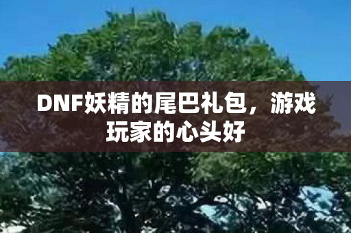 DNF妖精的尾巴礼包，游戏玩家的心头好