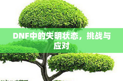 DNF中的失明状态,挑战与应对 DNF中的失明状态,挑战与应对