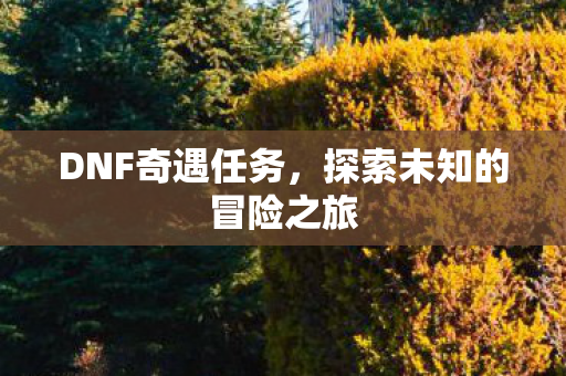 DNF奇遇任务,探索未知的冒险之旅 DNF奇遇任务,探索未知的冒险之旅