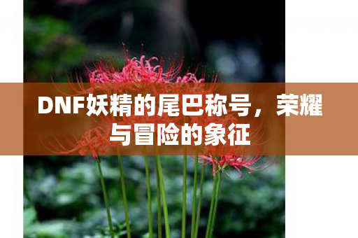 DNF妖精的尾巴称号,荣耀与冒险的象征 DNF妖精的尾巴称号,荣耀与冒险的象征