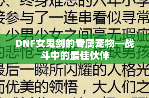 DNF女鬼剑的专属宠物—战斗中的最佳伙伴