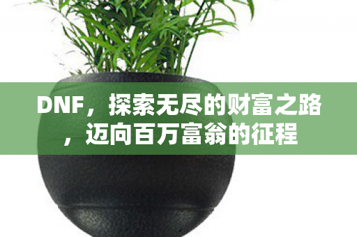 DNF,探索无尽的财富之路,迈向百万富翁的征程 DNF,探索无尽的财富之路,迈向百万富翁的征程