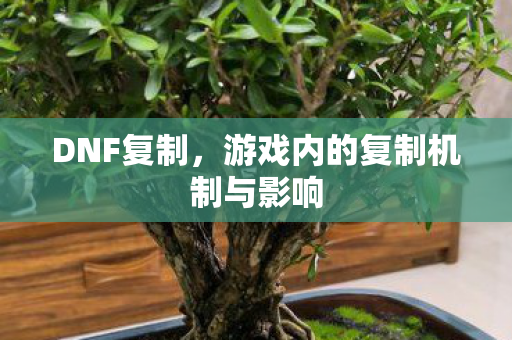 DNF复制,游戏内的复制机制与影响 DNF复制,游戏内的复制机制与影响