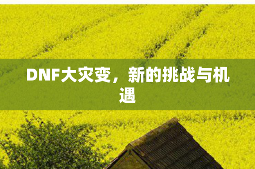 DNF大灾变,新的挑战与机遇 DNF大灾变,新的挑战与机遇