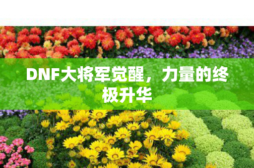 DNF大将军觉醒,力量的终极升华 DNF大将军觉醒,力量的终极升华