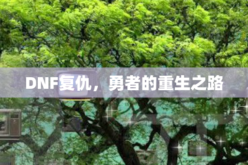 DNF复仇,勇者的重生之路 DNF复仇,勇者的重生之路