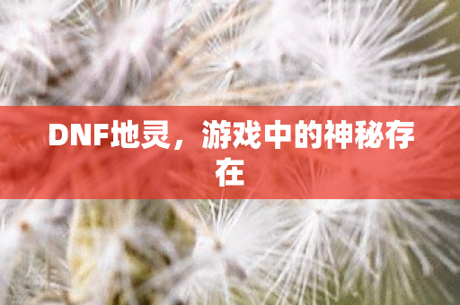DNF地灵,游戏中的神秘存在 DNF地灵,游戏中的神秘存在