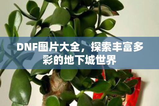 DNF图片大全,探索丰富多彩的地下城世界 DNF图片大全,探索丰富多彩的地下城世界