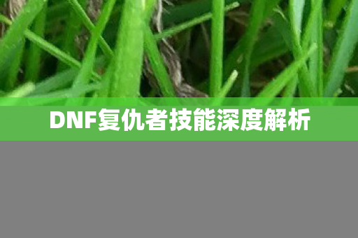 DNF复仇者技能深度解析 DNF复仇者技能深度解析