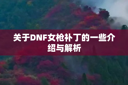 关于DNF女枪补丁的一些介绍与解析 关于DNF女枪补丁的一些介绍与解析