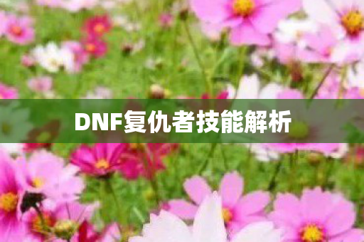 DNF复仇者技能解析 DNF复仇者技能解析