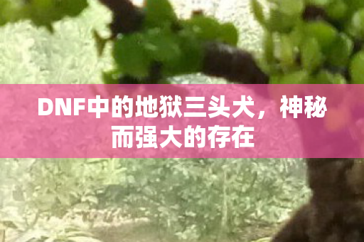 DNF中的地狱三头犬,神秘而强大的存在 DNF中的地狱三头犬,神秘而强大的存在