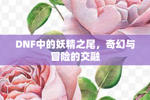 DNF中的妖精之尾，奇幻与冒险的交融